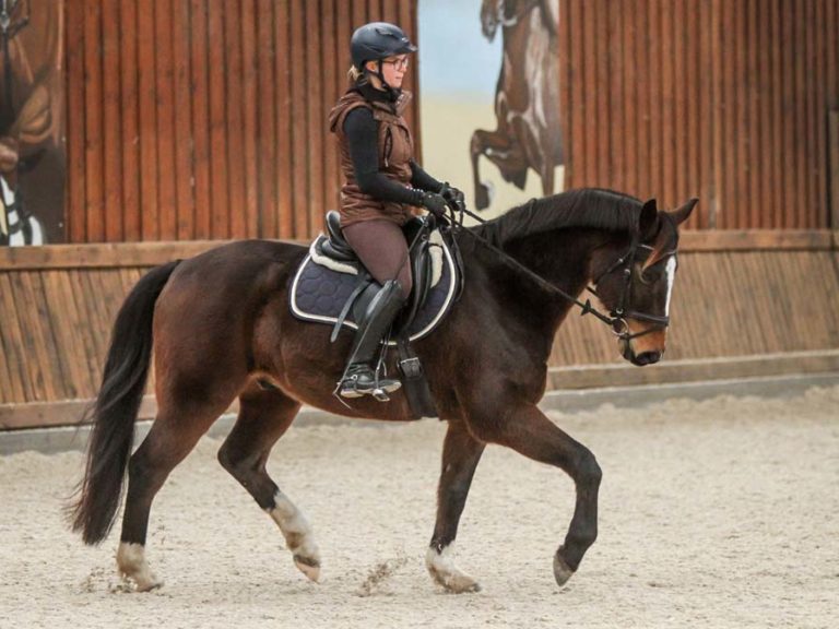 Einreiten Marit Voß