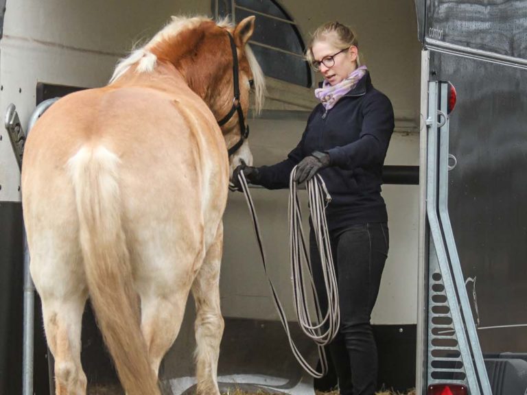 Verladetraining Marit Voß